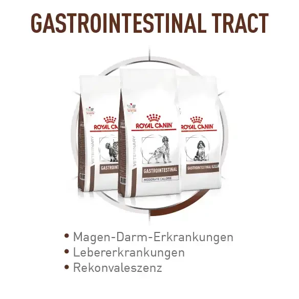 Gastrointestinal Tract bei Hunden wie z.B. Magen Darm Erkrankungen, Lebererkrankungen, Rekonvaleszens