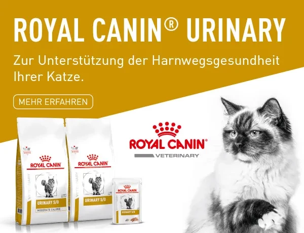 Royal Canin Urinary für Katzen entdecken