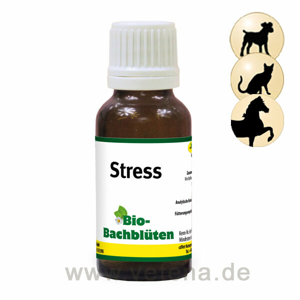 cdVet Bio-Bachblüten Stress