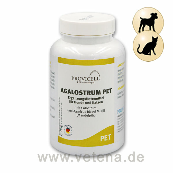 Agalostrum PET