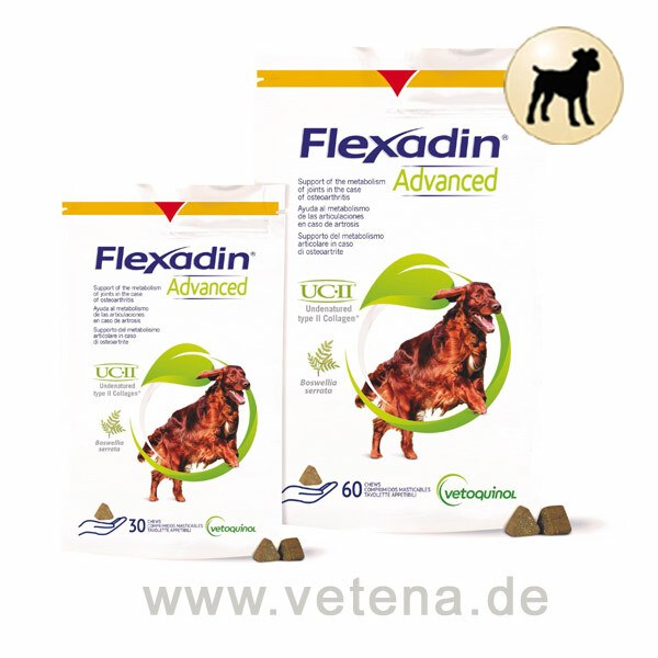 Flexadin Advanced für Hunde