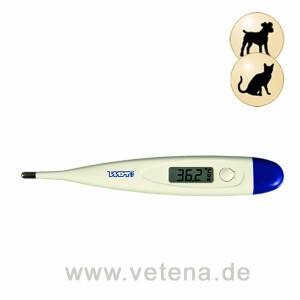 Digitalthermometer WDT