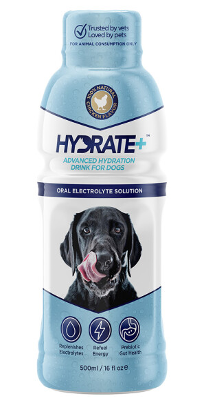 6x500 ml Oralade Hydrate+ Hund