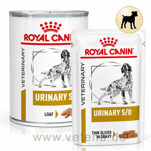 Royal Canin Urinary S/O Nassfutter für Hunde