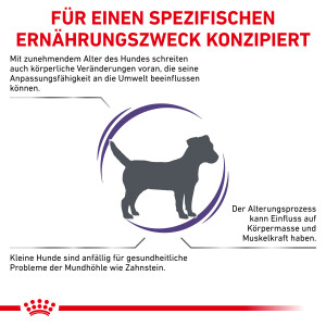 Royal Canin Mature Consult Small Dogs Trockenfutter für Hunde