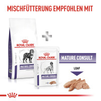 Royal Canin Mature Consult Large Dogs Trockenfutter für Hunde