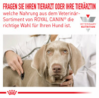 Royal Canin Hypoallergenic Trockenfutter für Hunde