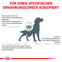 14 kg Royal Canin Hypoallergenic - Hund