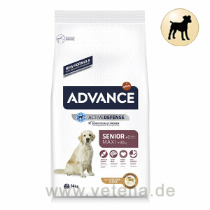 Advance Maxi Senior Trockenfutter für Hunde