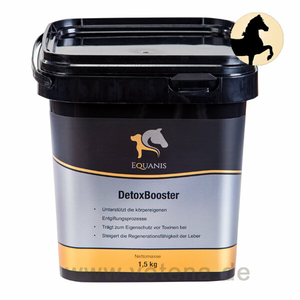 Equanis DetoxBooster