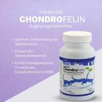 ReboTabs ChondroFelin