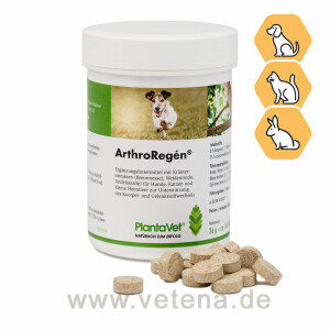 PlantaVet ArthroRegén für Hunde, Katzen &...