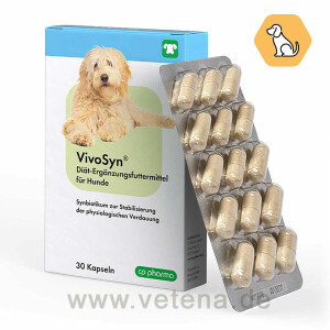 VivoSyn für Hunde