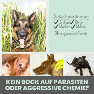 noms+ Zpray Anti-Zeckenspray für Hunde