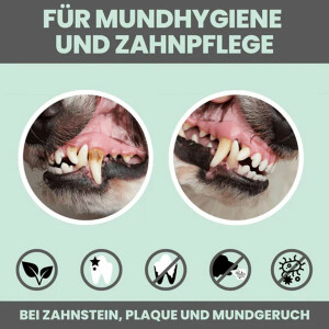 noms+ Dentalmix für Hunde