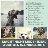 noms+ Wohlfühlsnacks für Hunde