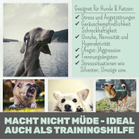 noms+ Wohlfühlmix für Hunde & Katzen