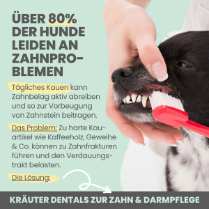 noms+ Kräuter Dentals für Hunde